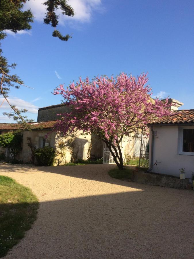 Le Logis Du Plessis Bed & Breakfast Chaniers Екстериор снимка