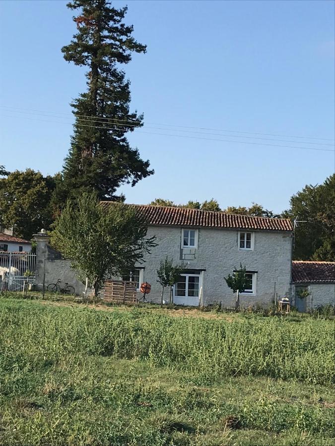 Le Logis Du Plessis Bed & Breakfast Chaniers Екстериор снимка